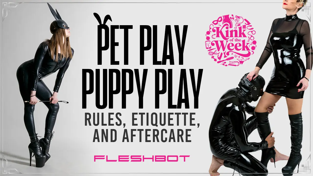 Gioco dei cuccioli: regole, etichetta e assistenza post-vendita per il gioco con gli animali domestici